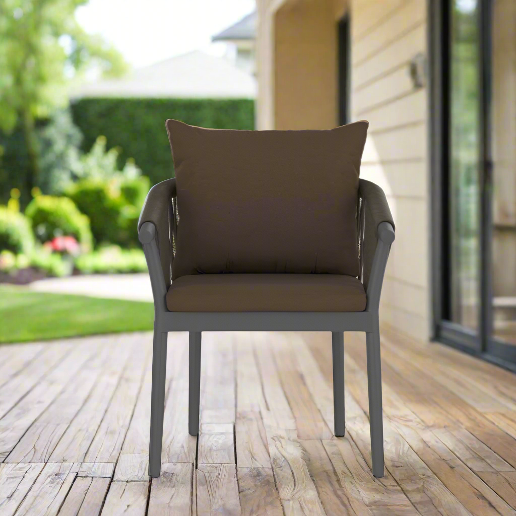 Source Furniture Vines Dining Arm Chair