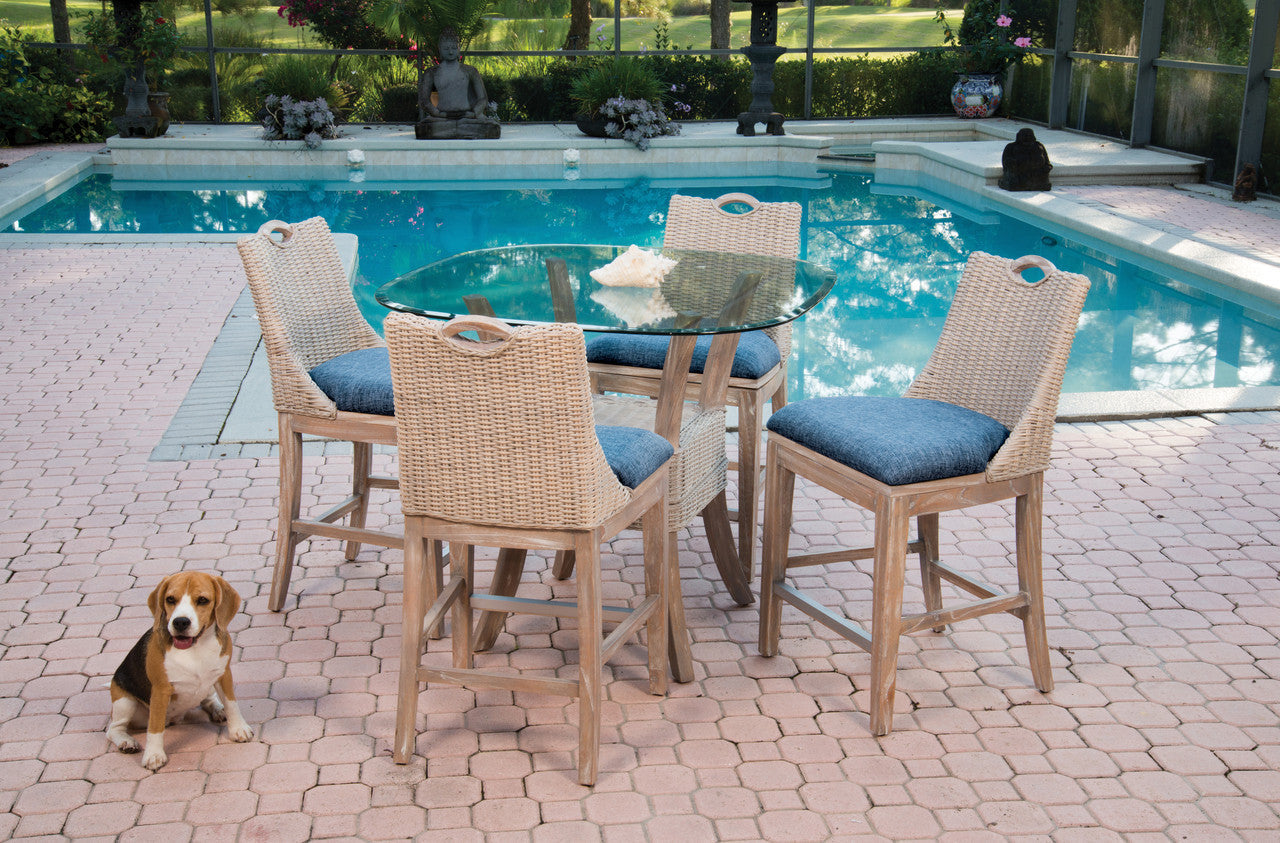 Alexander & Sheridan Belize 5 Piece Rattan Indoor Counter Height Dining Set