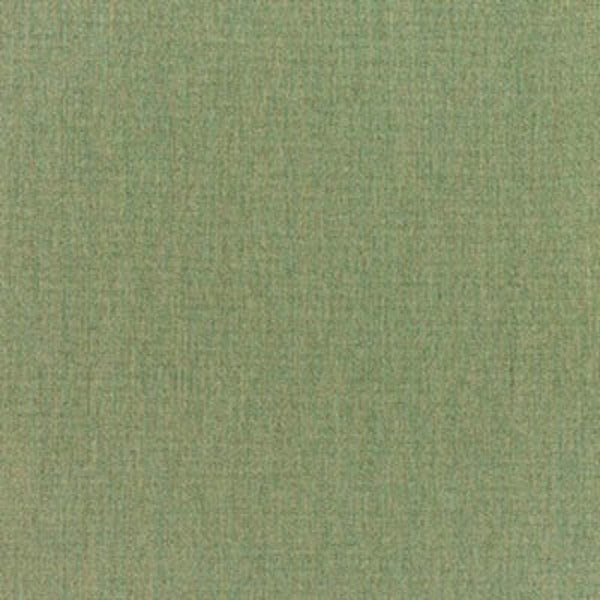 Sunset West : Sunbrella Canvas Fern