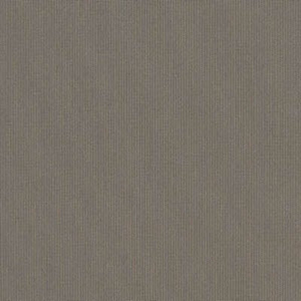 Sunset West : Sunbrella Spectrum Graphite